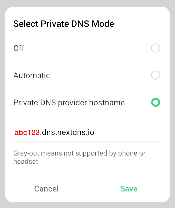 Next DNS Screenshot